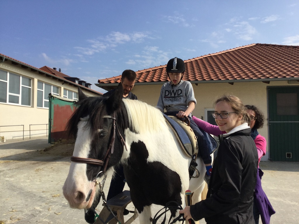 Therapeutishes Reiten